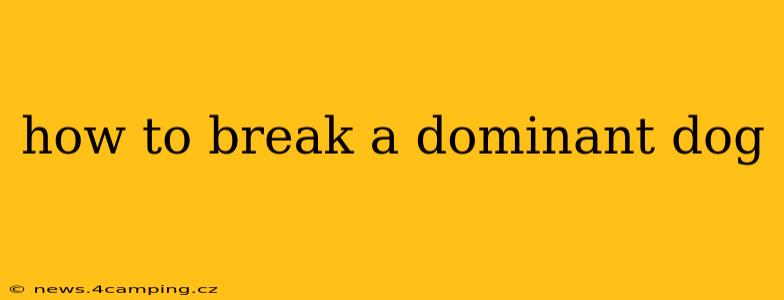 how to break a dominant dog