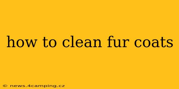 how to clean fur coats