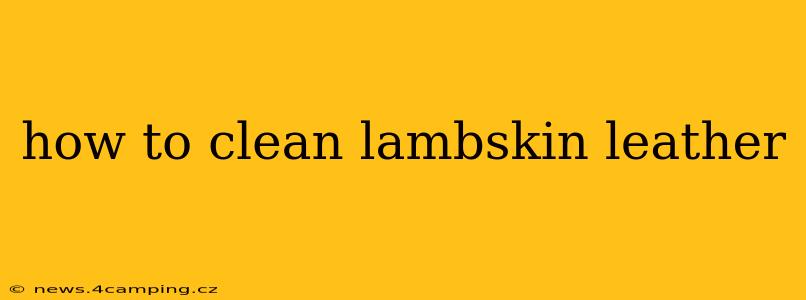 how to clean lambskin leather