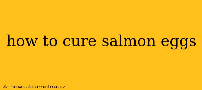 how to cure salmon eggs