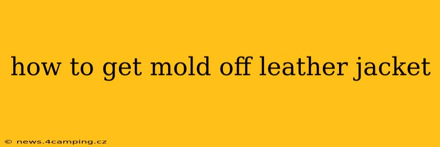 how to get mold off leather jacket