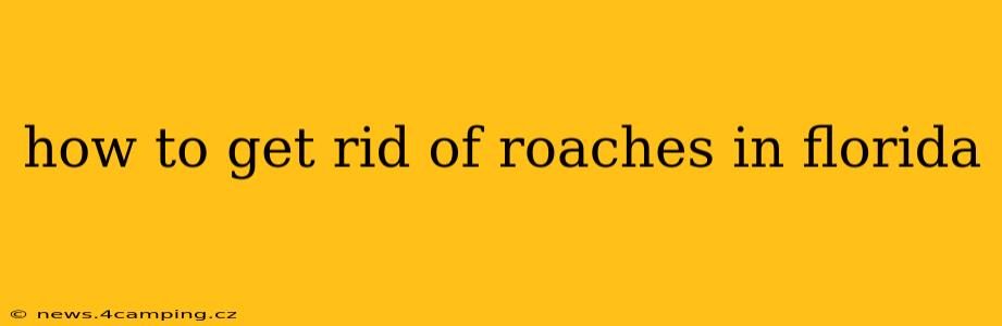 how to get rid of roaches in florida