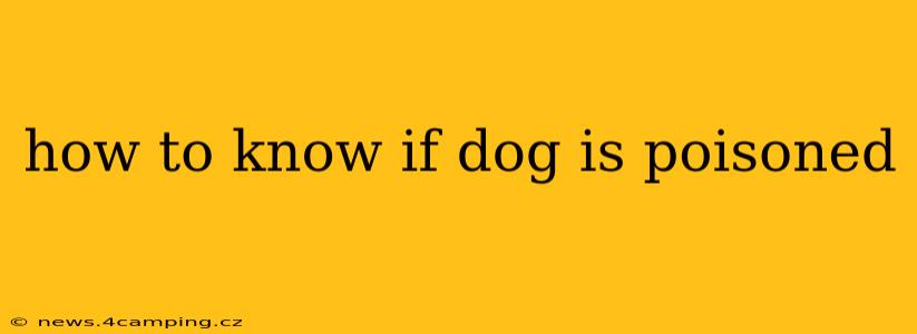 how to know if dog is poisoned