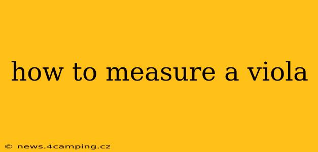 how to measure a viola