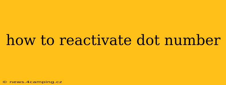 how to reactivate dot number