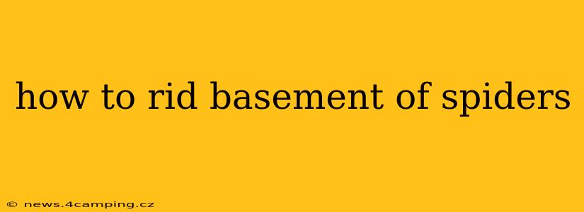 how to rid basement of spiders