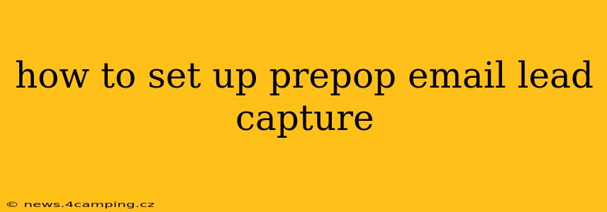 how to set up prepop email lead capture