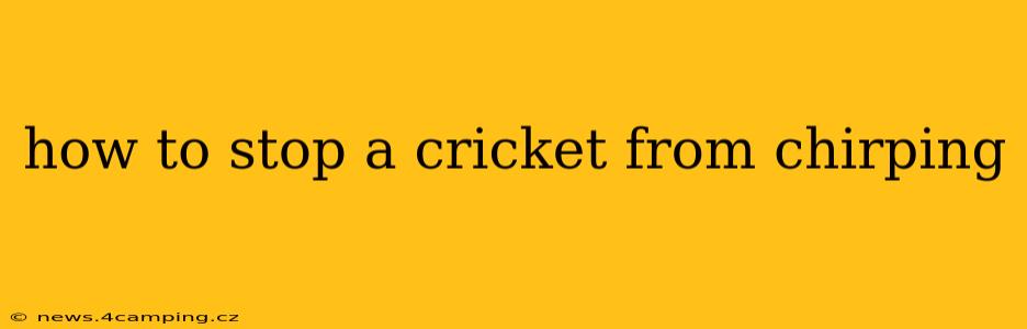 how to stop a cricket from chirping