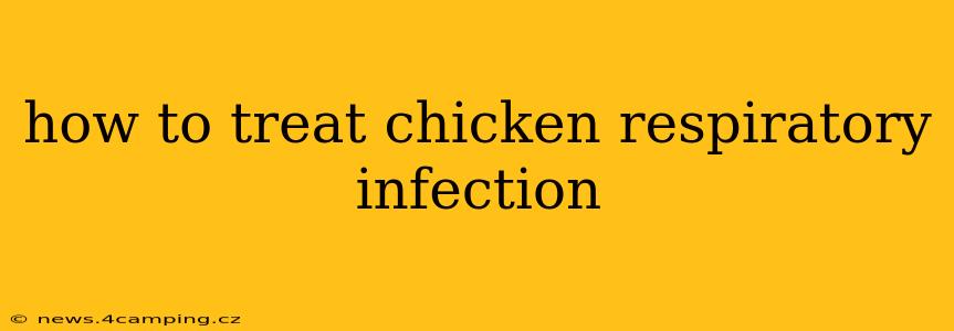 how to treat chicken respiratory infection