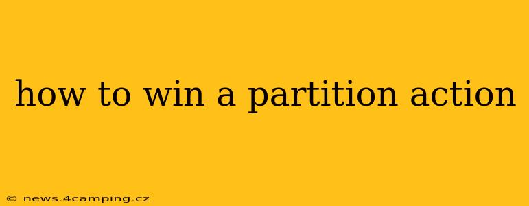 how to win a partition action