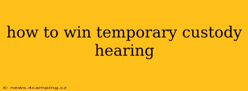 how to win temporary custody hearing