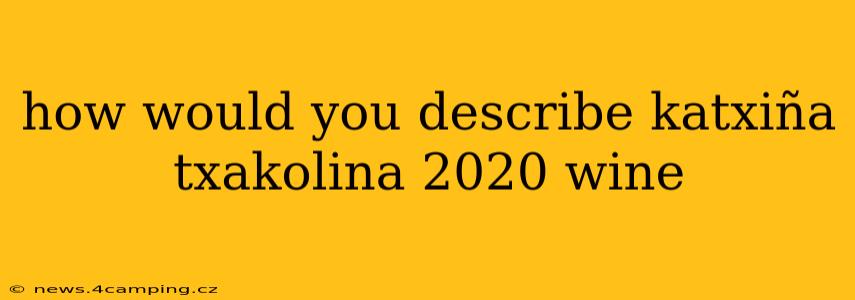 how would you describe katxiña txakolina 2020 wine