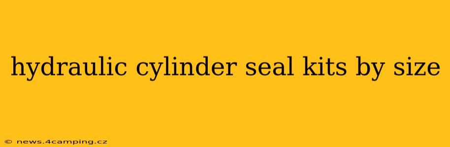 hydraulic cylinder seal kits by size