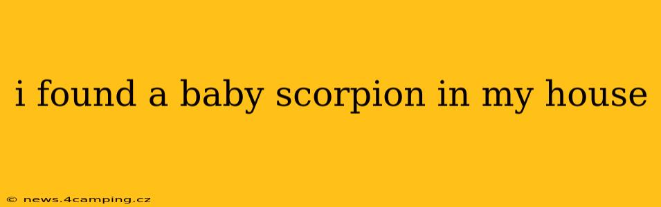 i found a baby scorpion in my house
