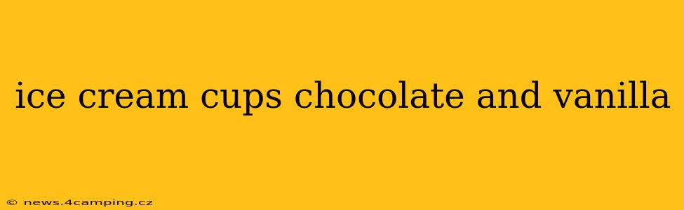 ice cream cups chocolate and vanilla