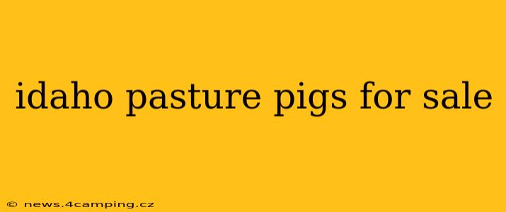 idaho pasture pigs for sale