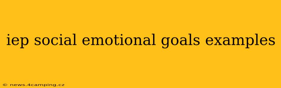 iep social emotional goals examples