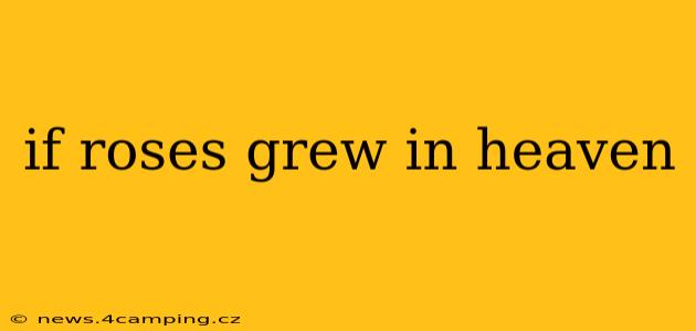 if roses grew in heaven