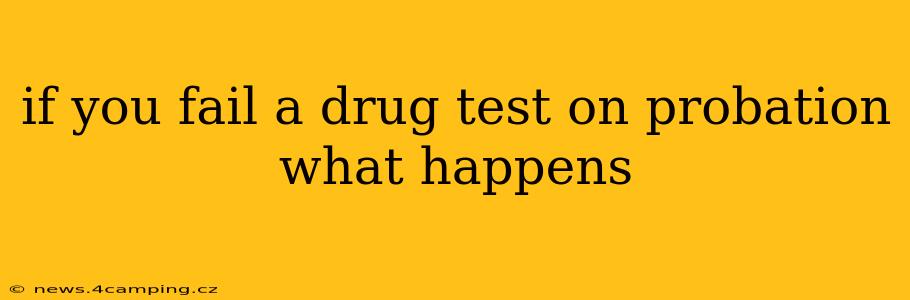 if you fail a drug test on probation what happens