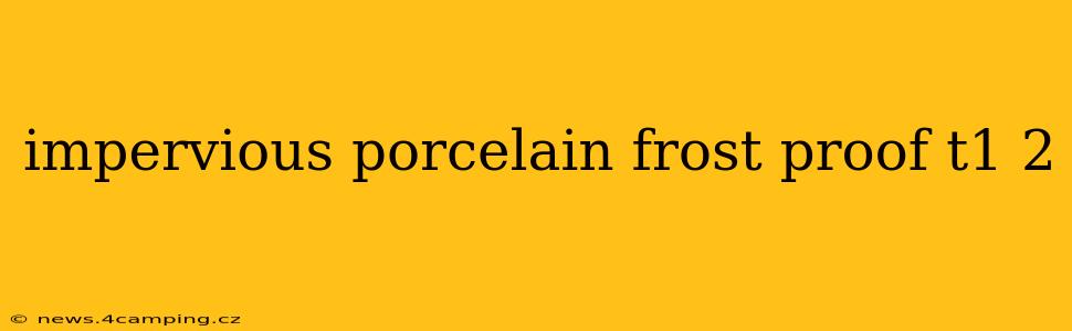 impervious porcelain frost proof t1 2