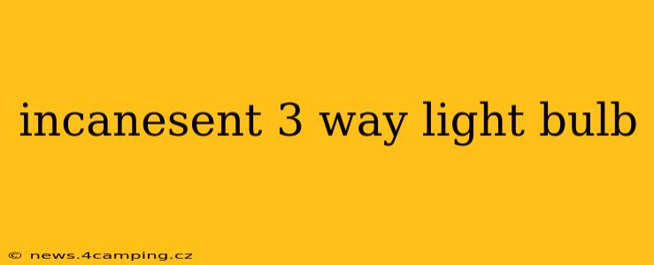 incanesent 3 way light bulb