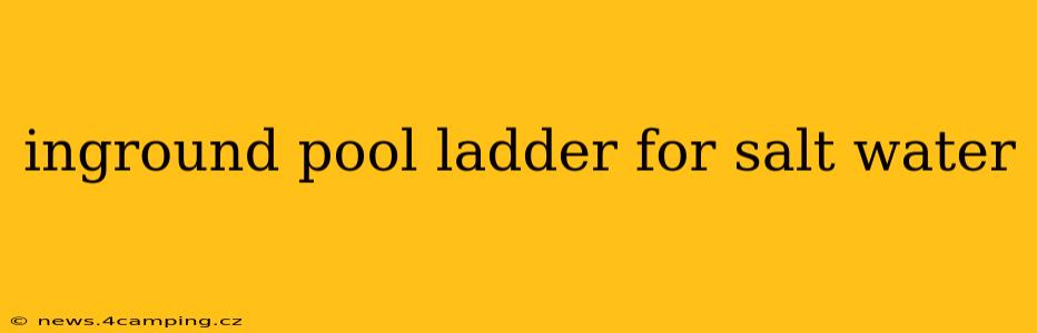 inground pool ladder for salt water