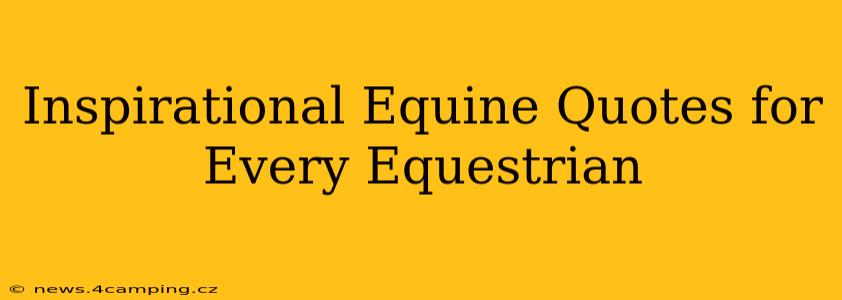Inspirational Equine Quotes for Every Equestrian
