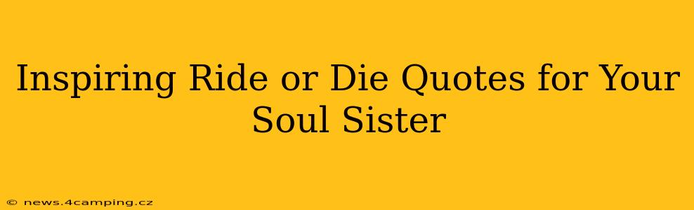 Inspiring Ride or Die Quotes for Your Soul Sister
