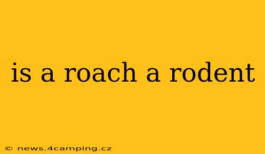 is a roach a rodent