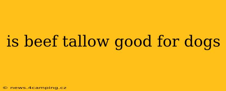 is beef tallow good for dogs