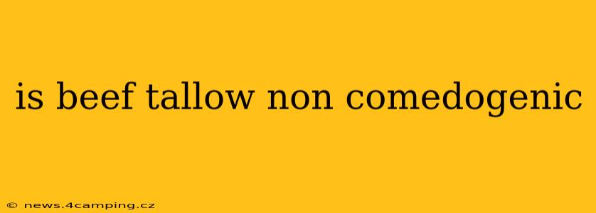 is beef tallow non comedogenic