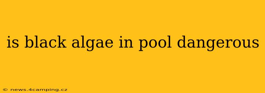is black algae in pool dangerous