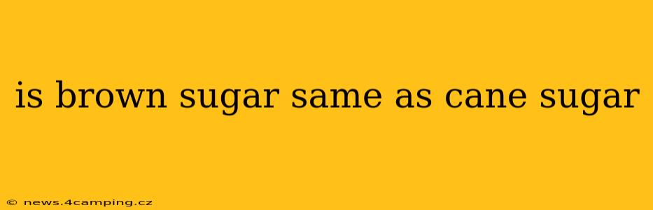 is brown sugar same as cane sugar