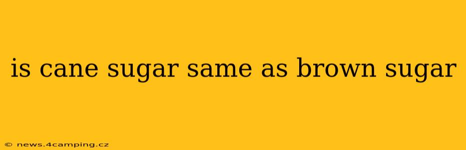 is cane sugar same as brown sugar