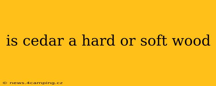 is cedar a hard or soft wood