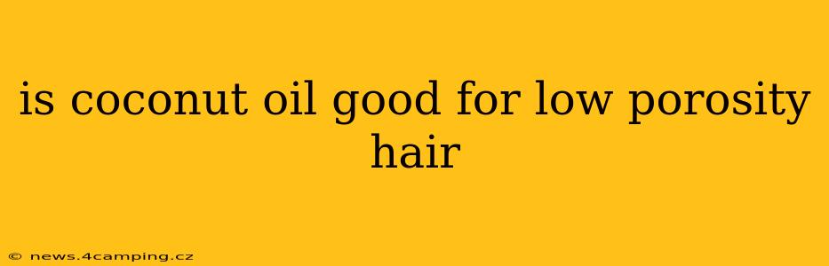 is coconut oil good for low porosity hair