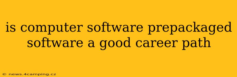 is computer software prepackaged software a good career path