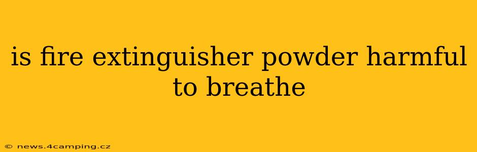 is fire extinguisher powder harmful to breathe