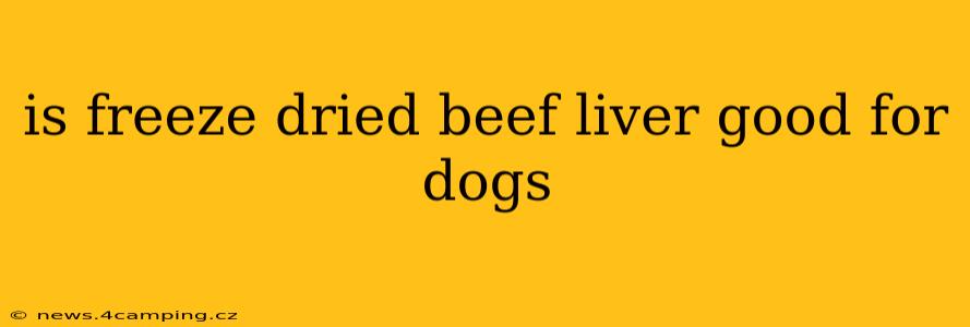 is freeze dried beef liver good for dogs