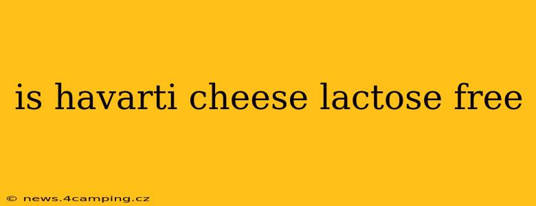 is havarti cheese lactose free