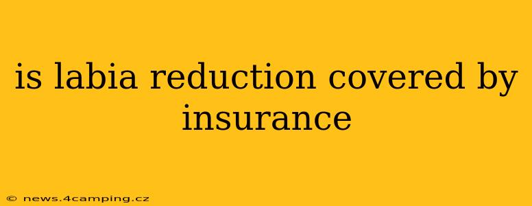 is labia reduction covered by insurance