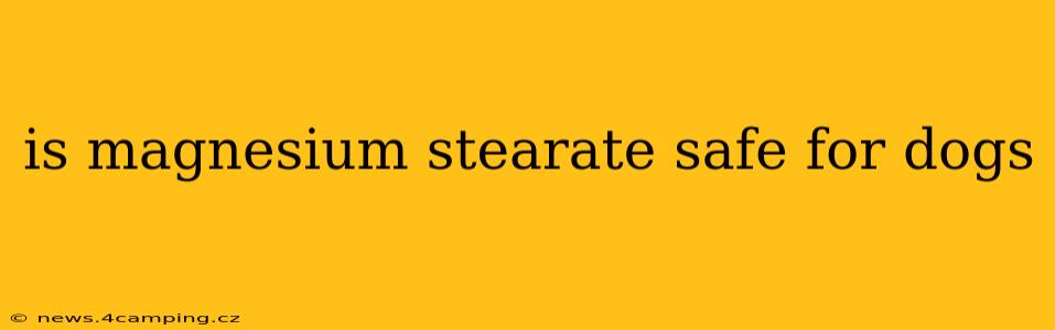 is magnesium stearate safe for dogs
