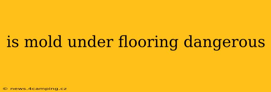 is mold under flooring dangerous