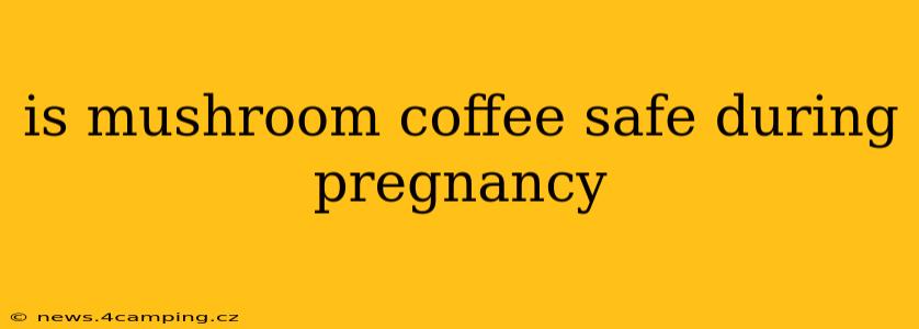 is mushroom coffee safe during pregnancy