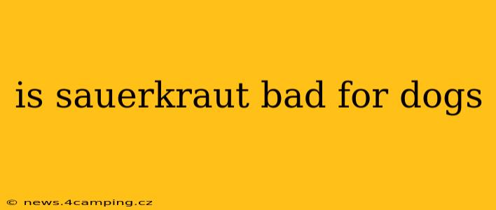 is sauerkraut bad for dogs