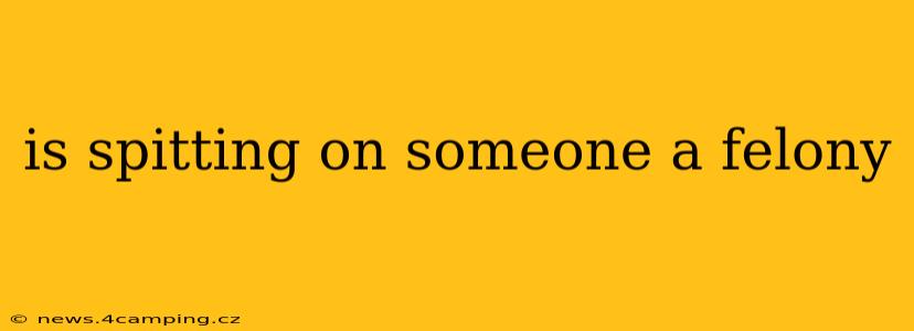 is spitting on someone a felony