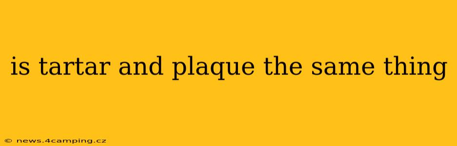 is tartar and plaque the same thing