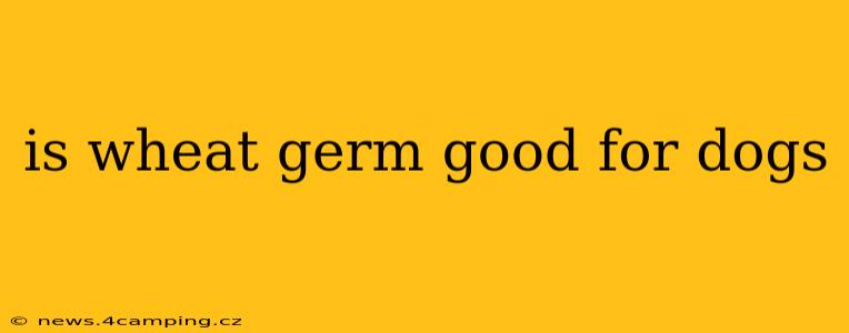 is wheat germ good for dogs