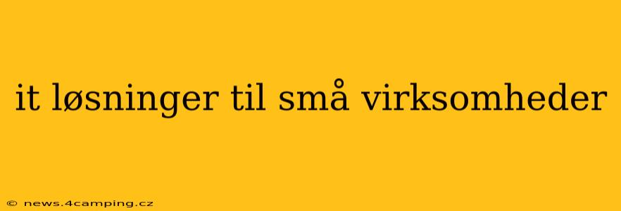 it løsninger til små virksomheder