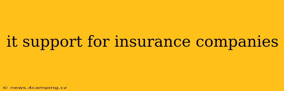 it support for insurance companies